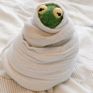 Cozy cute | Kermit Discord sticker