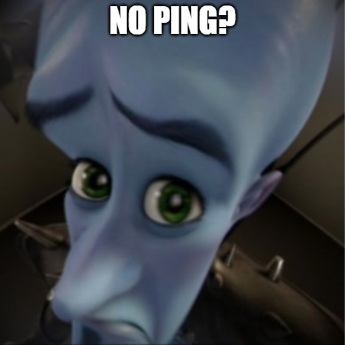 no ping
