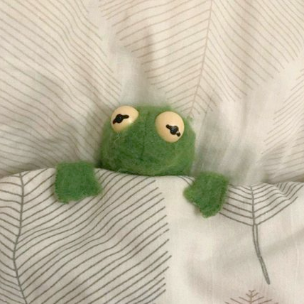 Sleepy snuggles | Kermit Discord sticker