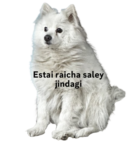 Estai raicha jindagi