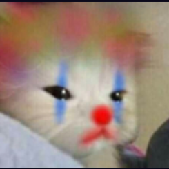 cat clown