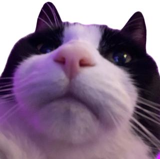 Ender_Cat