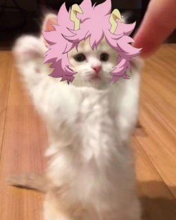 Mina_cat