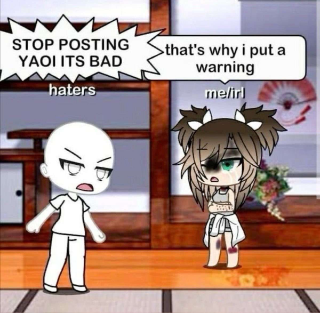 STOP POSTING YAOI