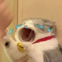 CRY | gg/kirei Discord sticker
