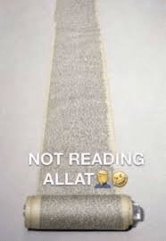 CZ_Not reading allat Discord sticker