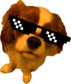 Deal with it. Discord sticker