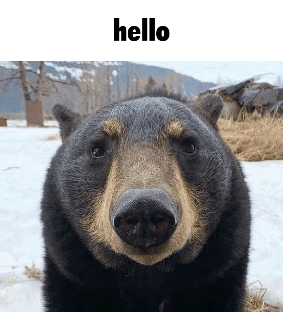 hello Discord sticker