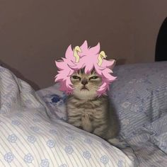 Mina_Cat2