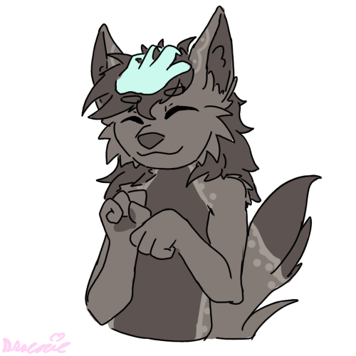 Kakkers pet Discord sticker
