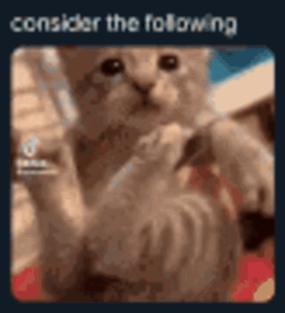 Consider the following Discord sticker
