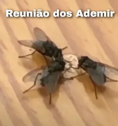 ademir Discord sticker