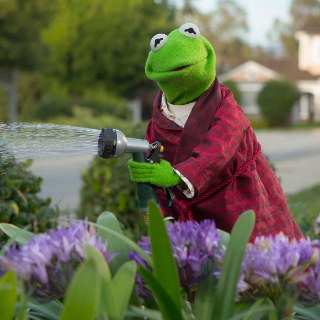 Garden | Kermit Discord sticker