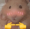 uwu             .gg/lco Discord sticker