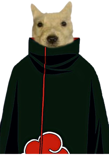 perro Discord sticker