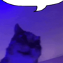 wobble cat say Discord sticker