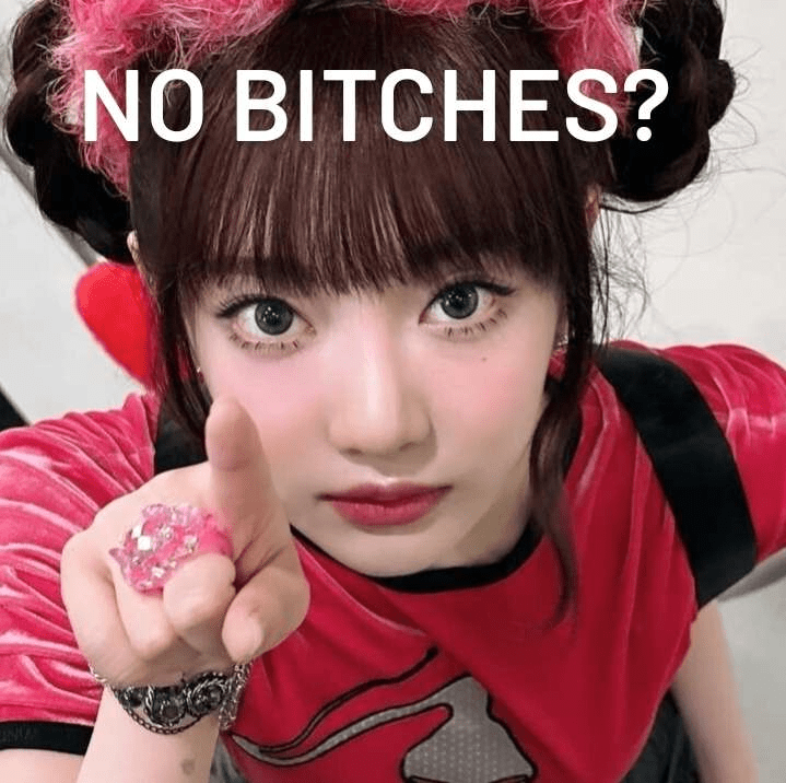 no bitches gg/kpopempire Discord sticker
