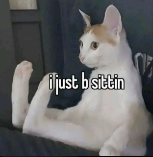 i just b sittin