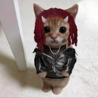 carti cat club