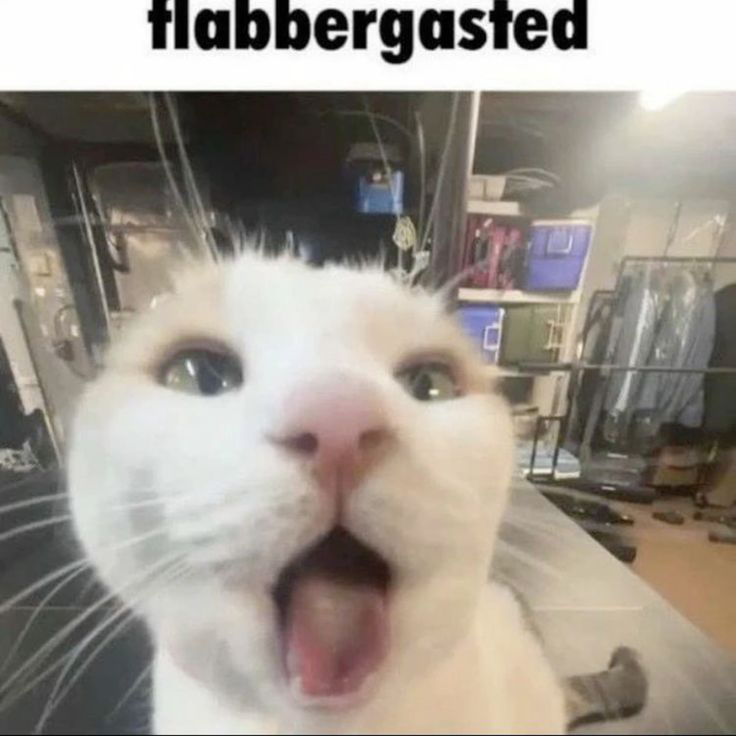 flabbergasted Discord sticker