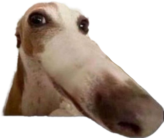 longdog Discord sticker