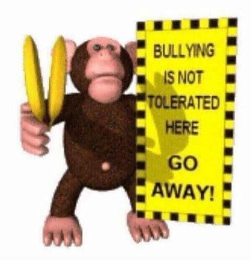 Bullying Is Not Tolerated Here