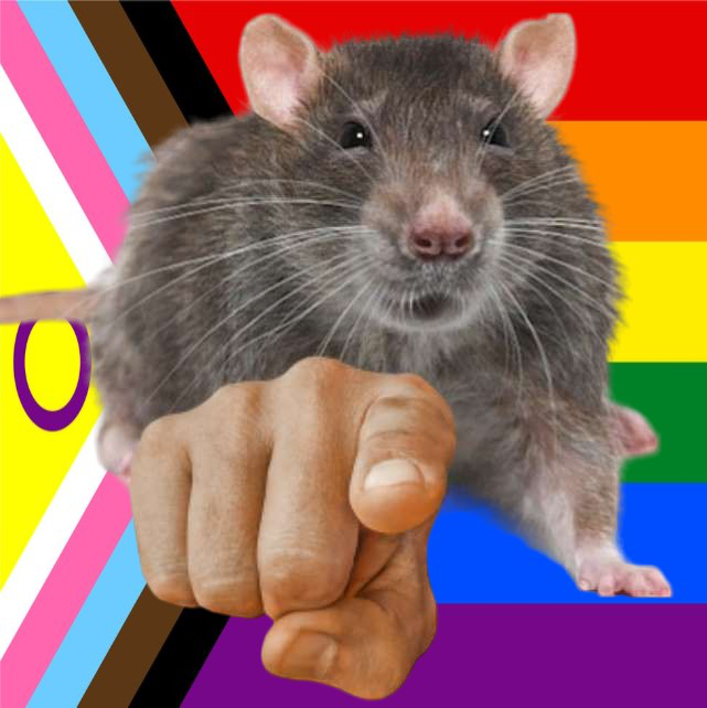 Pride rat pointing Discord sticker