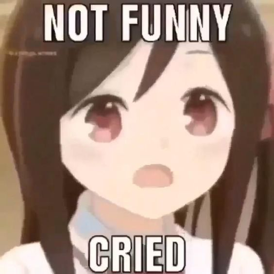 Not Funny Cried Discord sticker