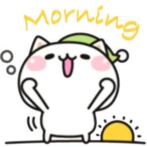 Good meowning~~