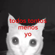 todos tontos Discord sticker