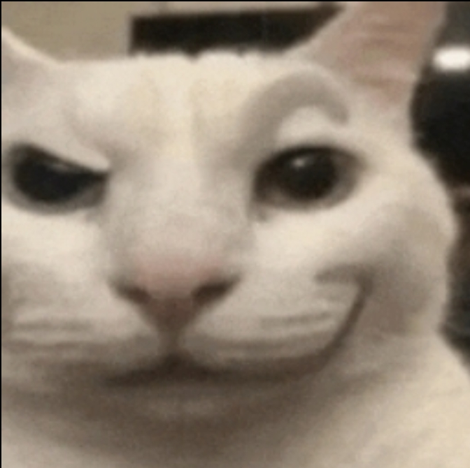 cat smirk