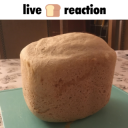 live bread🍞reaction  .gg/talk