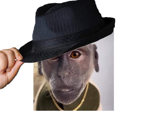 casian Discord sticker