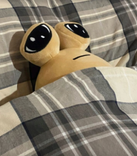 Sleeping Pou Discord sticker