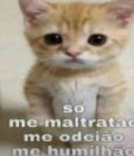 maltratao