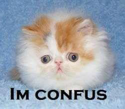 DD_Confused-Cat Discord sticker