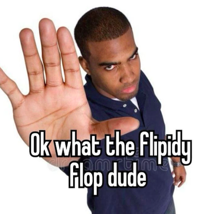 whattheflipdude