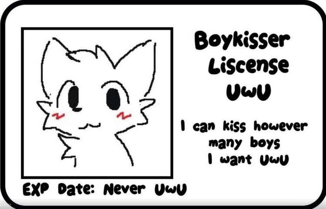 license to boykiss