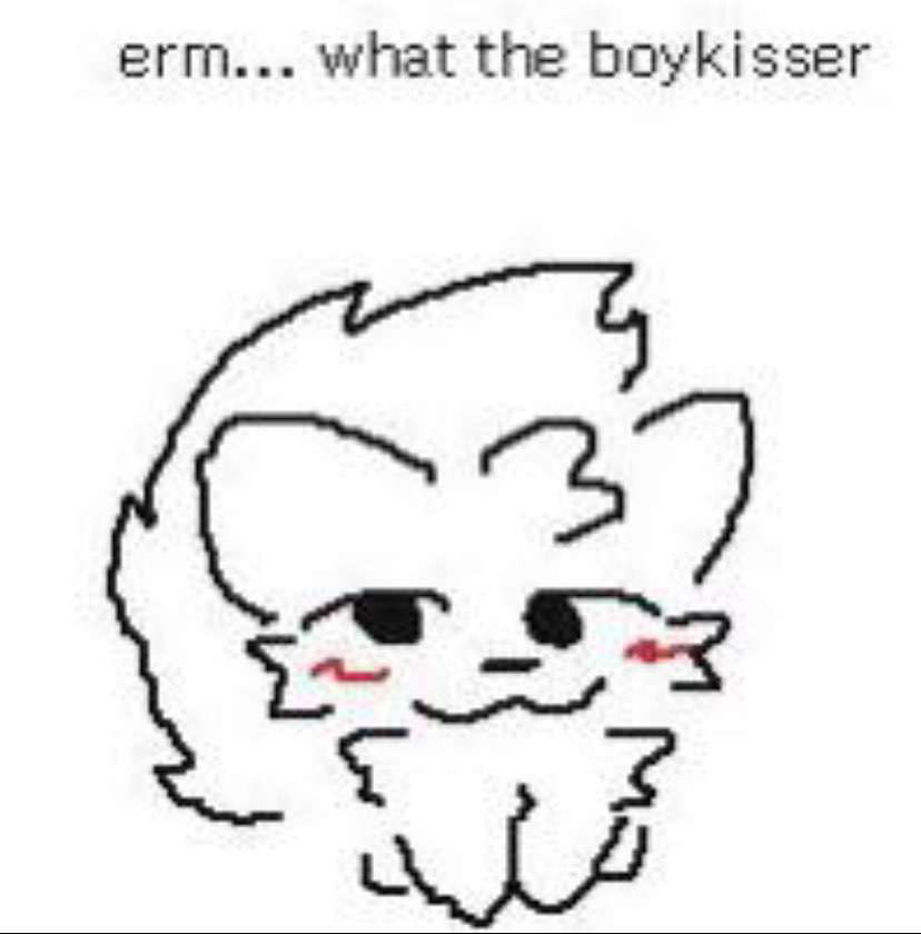 what the boykisser