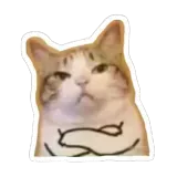 dcl_dissapointed Discord sticker