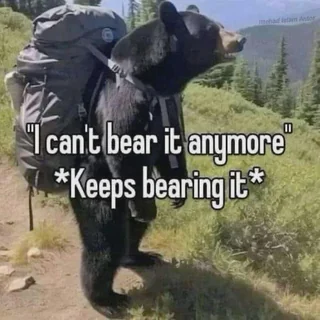 can't bear it anymore Discord sticker