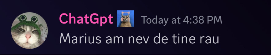 mariusnevoie Discord sticker
