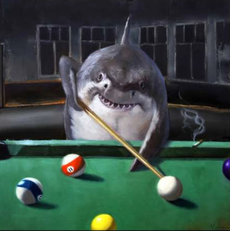 pool shark