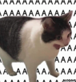 Aaaaaaaaaa Discord sticker