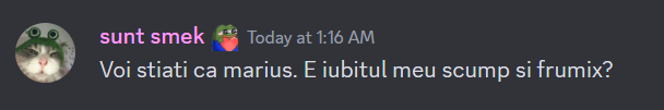 iubesc Discord sticker