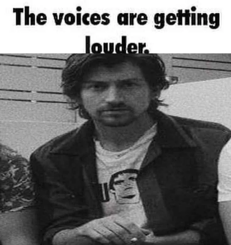 the voices .gg/arcticmonkeys