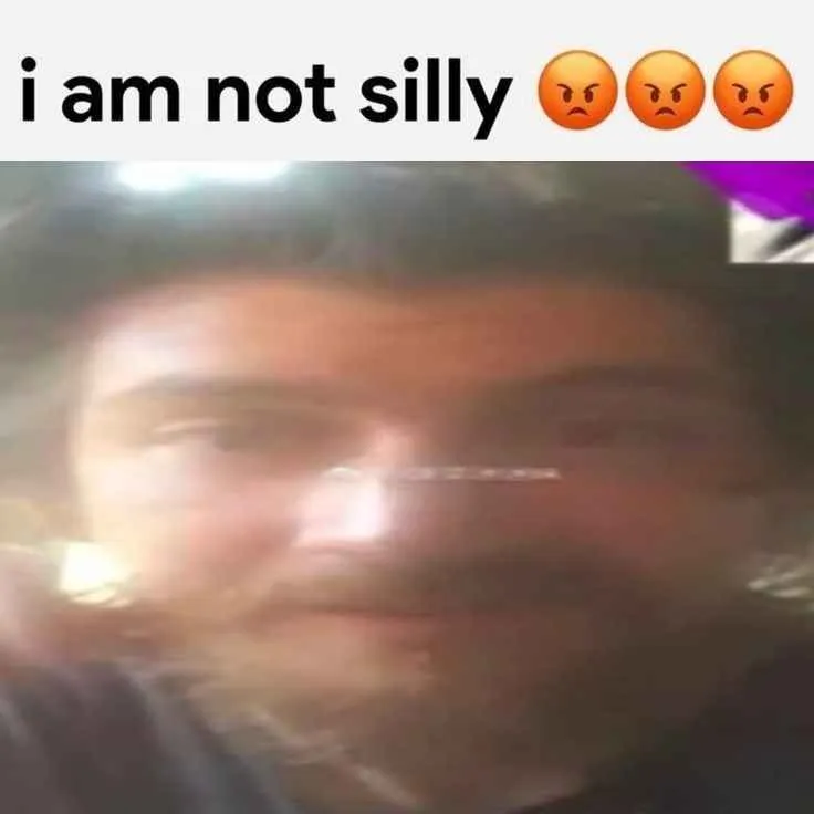 NOT SILLY! .gg/arcticmonkeys