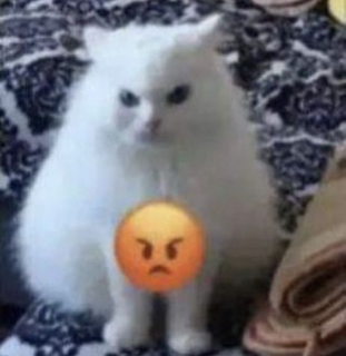 Angry Cat Discord sticker