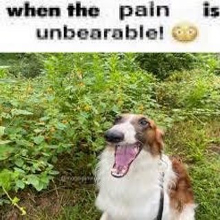 when the pain is unbearable!