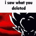 I saw what you deleted